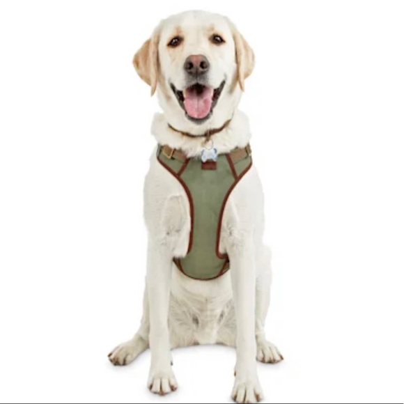 reddy dog harness